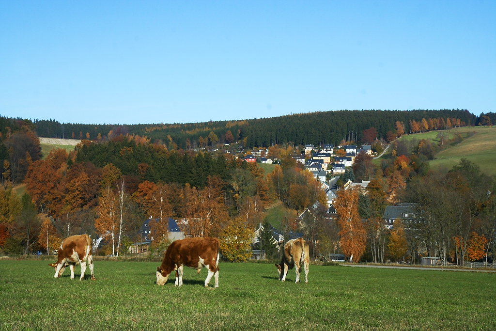 blick-zum-zipfel