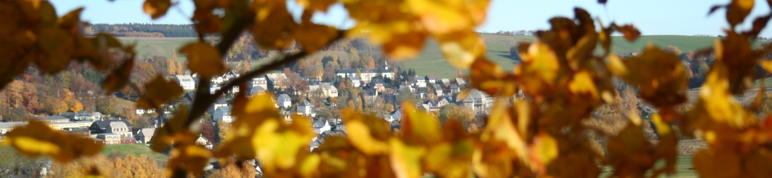 Das Foto zeigt eine beeindruckende Panoramaaufnahme von Auerbach, eingebettet von herbstlich buntgefärbten Blättern. Die Blätter sind unscharf dargestellt. Diese Unschärfe erzeugt einen schönen Tiefeneffekt, der den Blick in die Ferne lenkt. Dahinter liegen Häuser und Gebäude von Auerbach mit Blick auf die Auerbacher Oberschule.