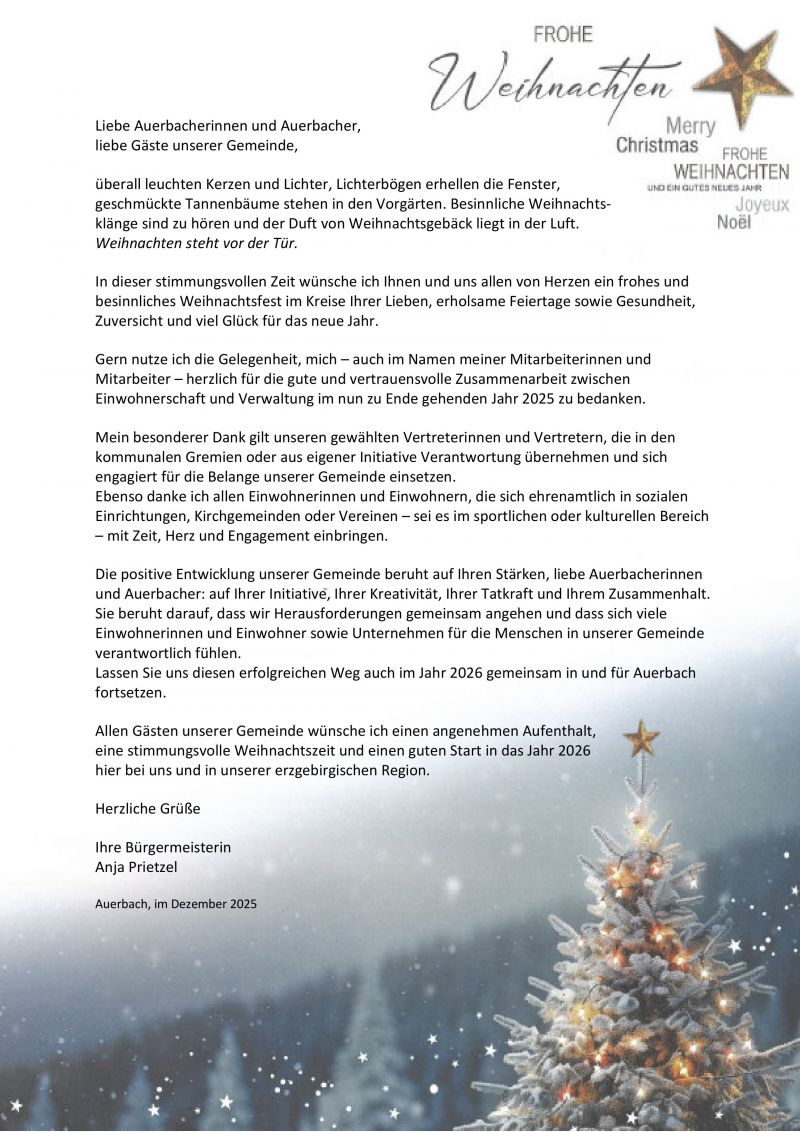 Weihnachtsgruß 2025